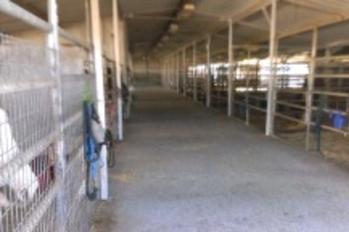 A long hallway with many stalls and doors.